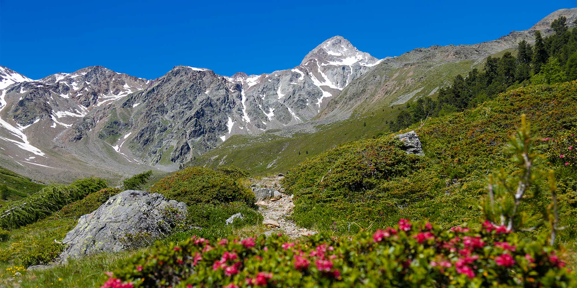 Sommer im Schnalstal